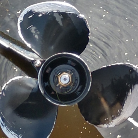 Meet your Posher, Jimmy - Picture 1 of 1